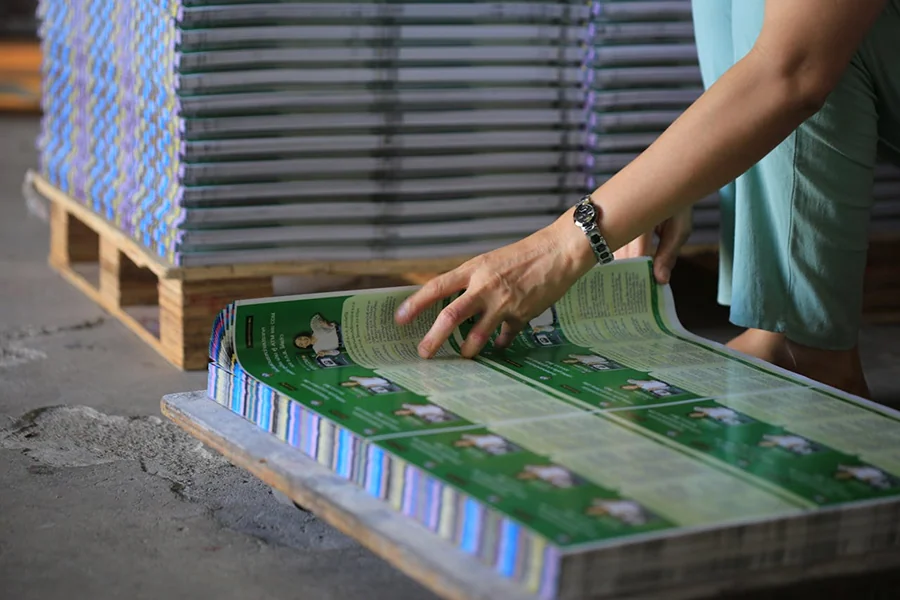 Una persona che indossa un orologio controlla o smista una pila di opuscoli o riviste stampate in verde su un pallet di legno, con altre pile visibili sullo sfondo su un pavimento di cemento.